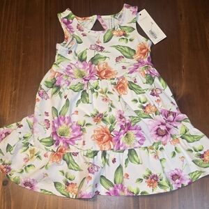Janie And Jack 6-12 Month NWT Dahlia Romper Dress